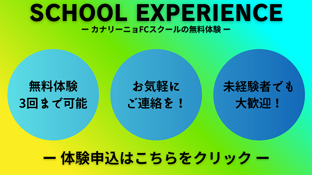 school experience
